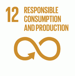 E INVERTED SDG goals icons individual RGB 12