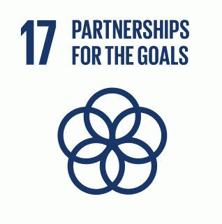 E INVERTED SDG goals icons individual RGB 17